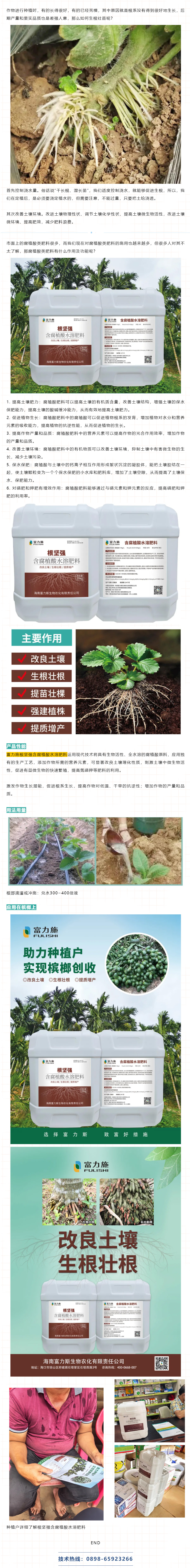 富力施根坚强不仅提高土壤肥力，还促进植物生长.jpg