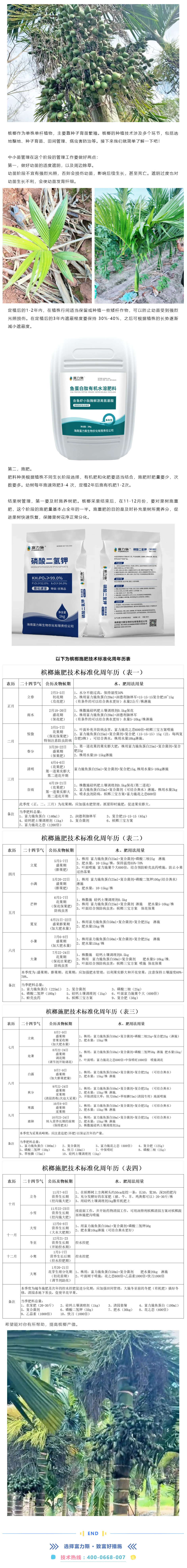 槟榔施肥技术标准化周年历表（建议收藏）.png